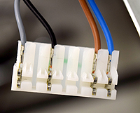 bx pt ecoblue j21538 har x11.jpg